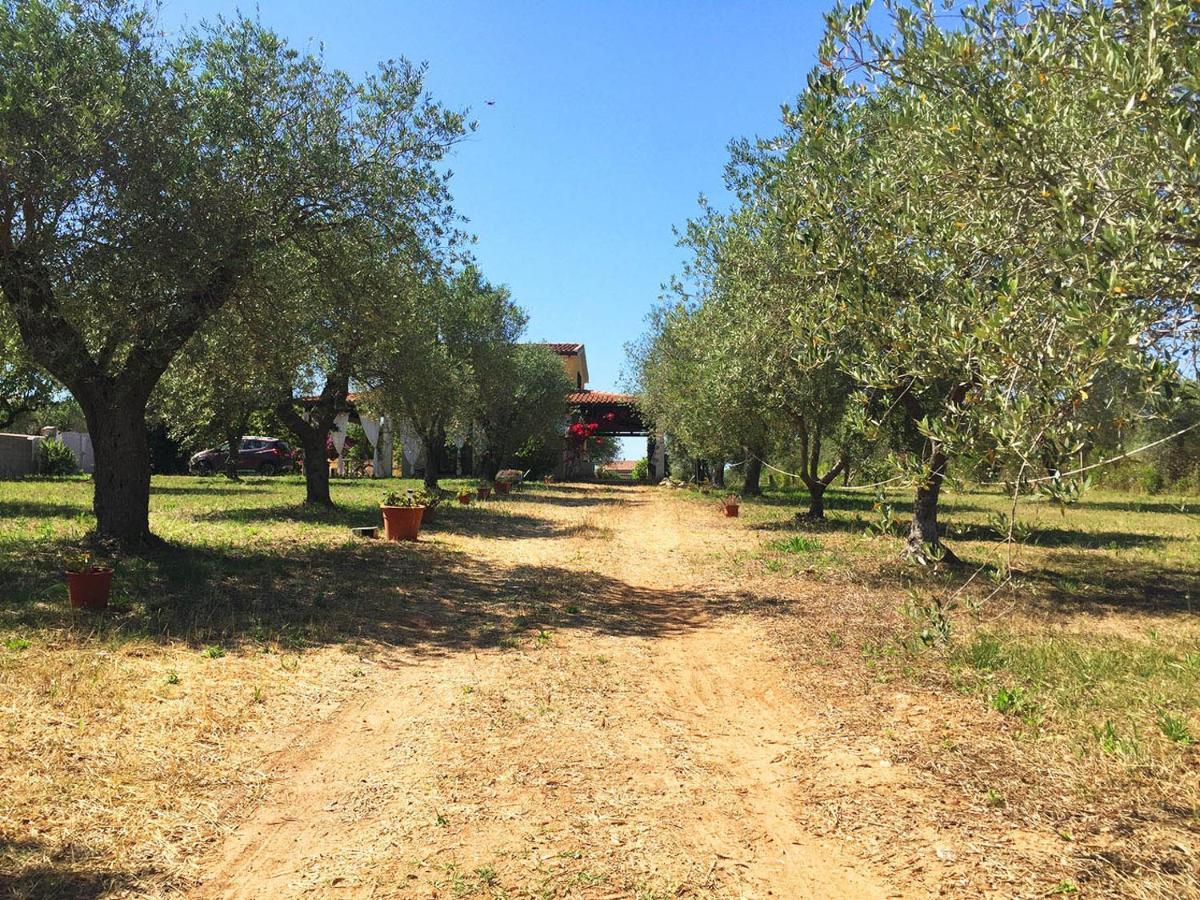 Residenza Gli Ulivi, Privata Con Ampio Giardino E Uliveto Alghero
